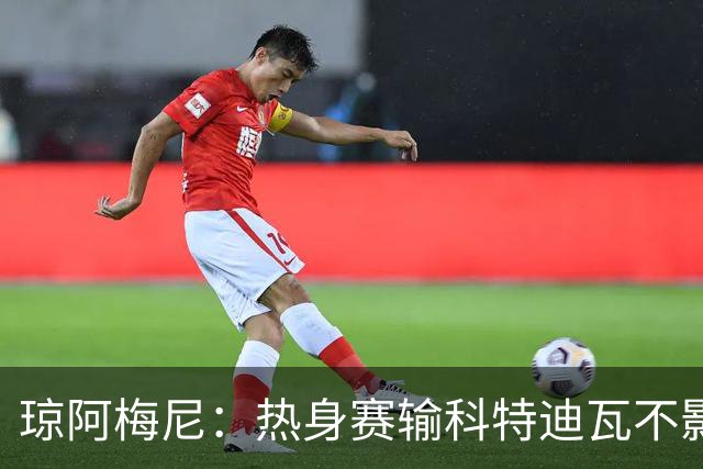 琼阿梅尼：热身赛输科特迪瓦不影响法国，可以说是一次小小的提醒